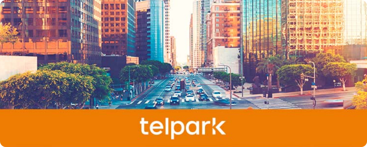 Telpark Case Study